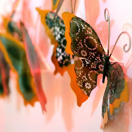 Malu' Alojamento de Acomodação e Pequeno-almoço