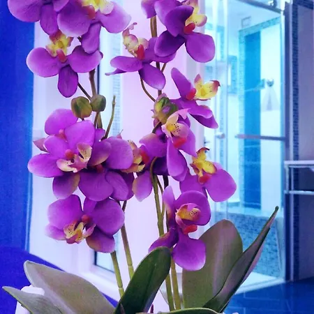 Bed & Breakfast Malu'