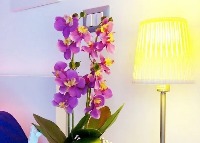 Bed & Breakfast Malu' 4*